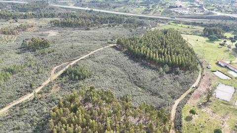 Terreno de 15.800m² para Investimento em Vila Velha de Ródão 15.000€