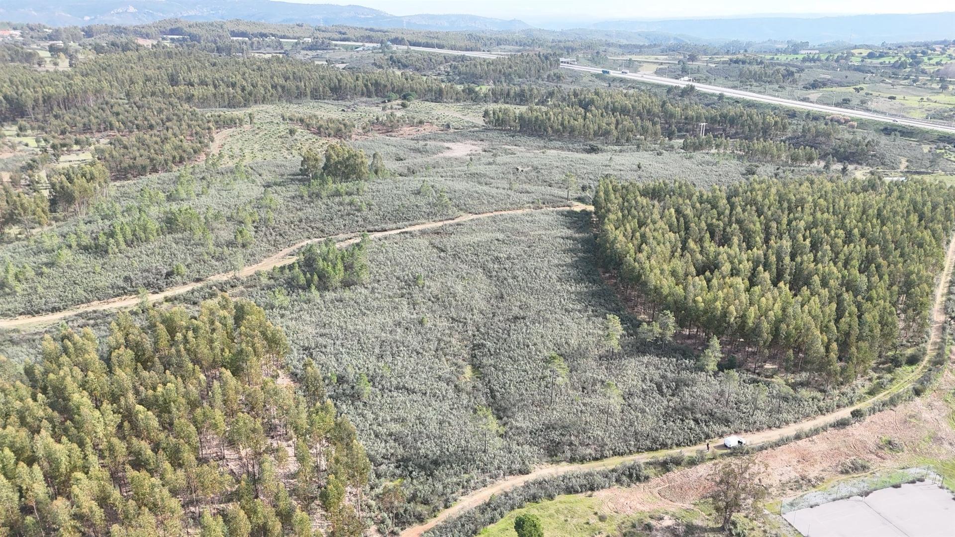 Terreno de 15.800m² para Investimento em Vila Velha de Ródão 15.000€