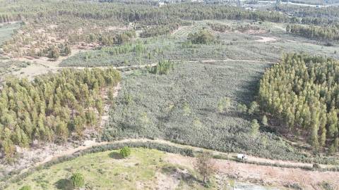 Terreno de 15.800m² para Investimento em Vila Velha de Ródão 15.000€