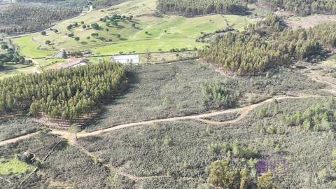 Terreno de 15.800m² para Investimento em Vila Velha de Ródão 15.000€