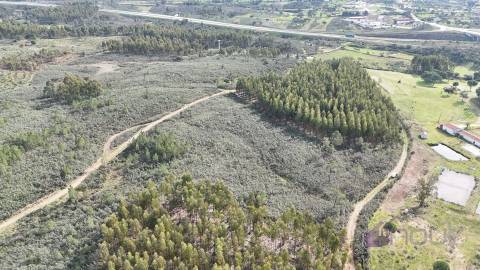 Terreno de 15.800m² para Investimento em Vila Velha de Ródão 15.000€