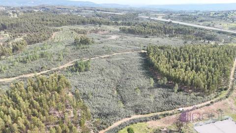 Terreno de 15.800m² para Investimento em Vila Velha de Ródão 15.000€