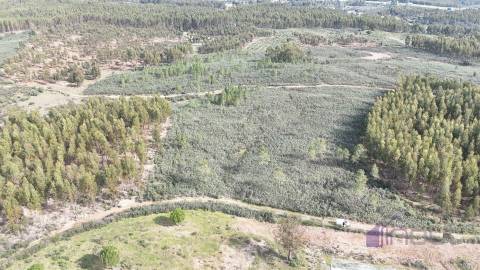 Terreno de 15.800m² para Investimento em Vila Velha de Ródão 15.000€