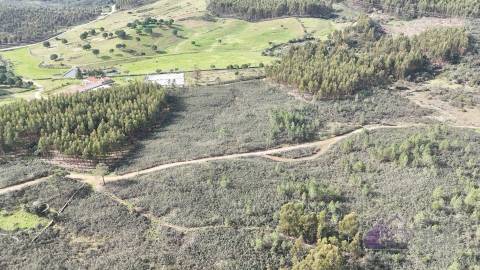 Terreno de 15.800m² para Investimento em Vila Velha de Ródão 15.000€