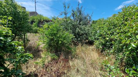 Moradia  Venda em Terras de Massueime,Pinhel