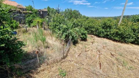 Moradia  Venda em Terras de Massueime,Pinhel