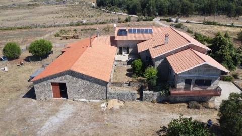 Fantástica Propriedade Rural com 7,04 Hectares em Monsanto – A Aldeia Mais Portuguesa de Portugal