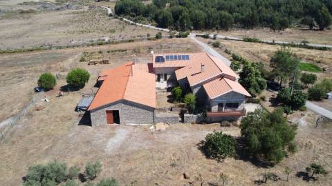 Fantástica Propriedade Rural com 7,04 Hectares em Monsanto – A Aldeia Mais Portuguesa de Portugal