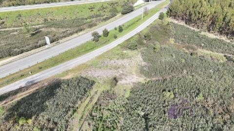 Terreno 2,38 ha para Investimento Agrícola ou Lazer | Vila Velha de Ródão | 11.250€