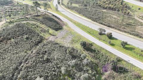 Terreno 2,38 ha para Investimento Agrícola ou Lazer | Vila Velha de Ródão | 11.250€