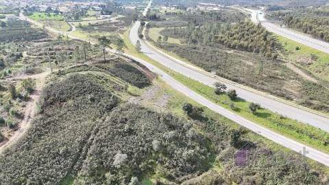 Terreno 2,38 ha para Investimento Agrícola ou Lazer | Vila Velha de Ródão | 11.250€