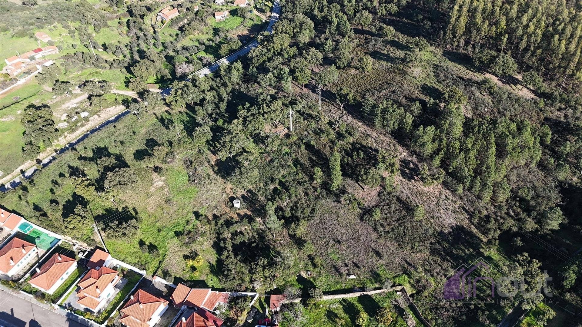 Terreno Rústico 1,76 ha com Árvores e Fácil Acesso, Vila velha de Ródão