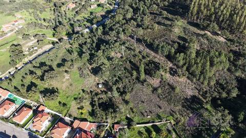 Terreno Rústico 1,76 ha com Árvores e Fácil Acesso, Vila velha de Ródão