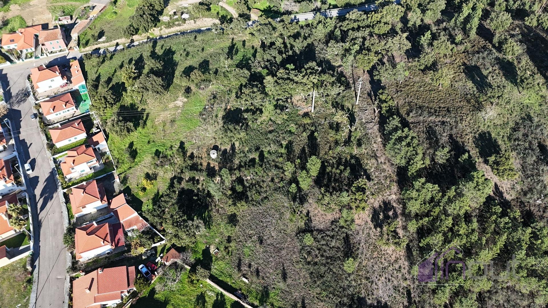 Terreno Rústico 1,76 ha com Árvores e Fácil Acesso, Vila velha de Ródão