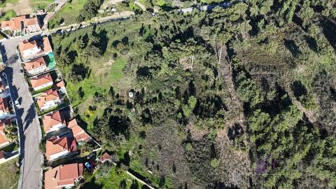Terreno Rústico 1,76 ha com Árvores e Fácil Acesso, Vila velha de Ródão