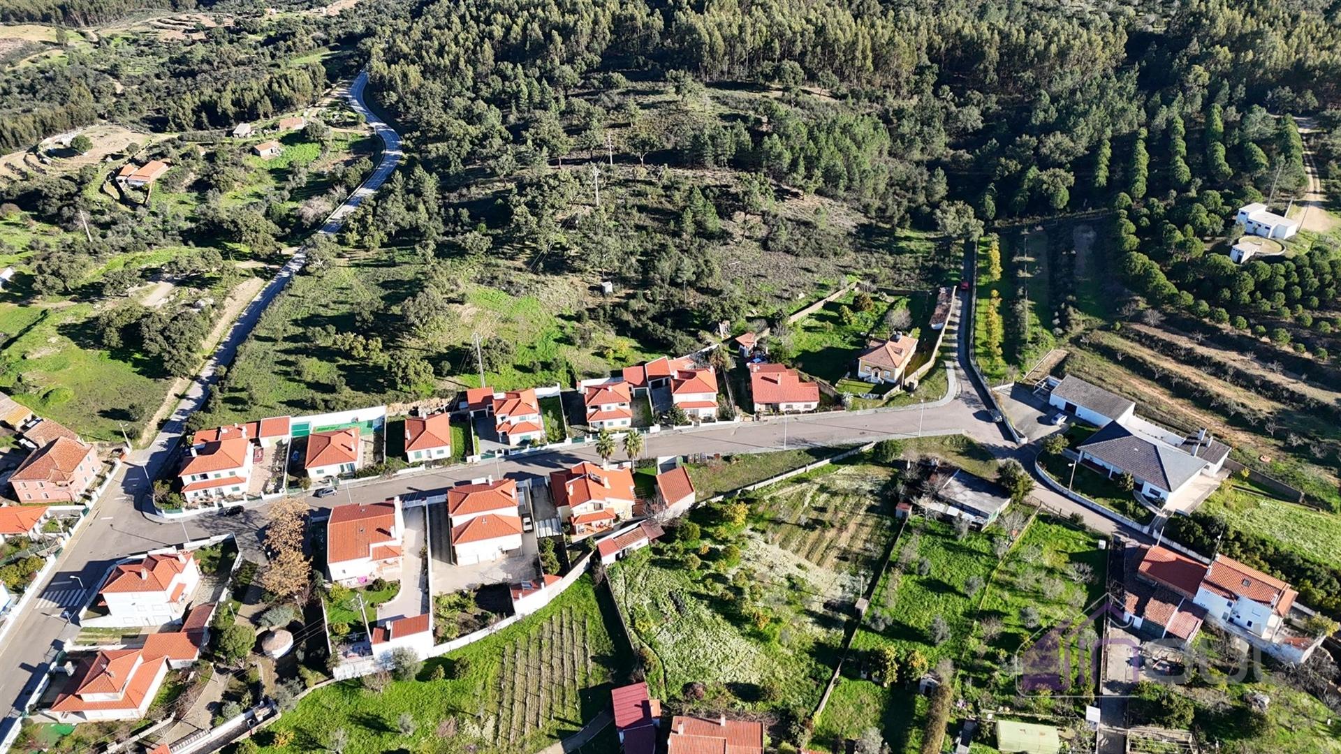 Terreno Rústico 1,76 ha com Árvores e Fácil Acesso, Vila velha de Ródão
