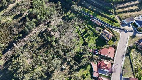 Terreno Rústico 1,76 ha com Árvores e Fácil Acesso, Vila velha de Ródão