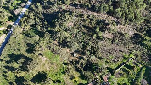 Terreno Rústico 1,76 ha com Árvores e Fácil Acesso, Vila velha de Ródão