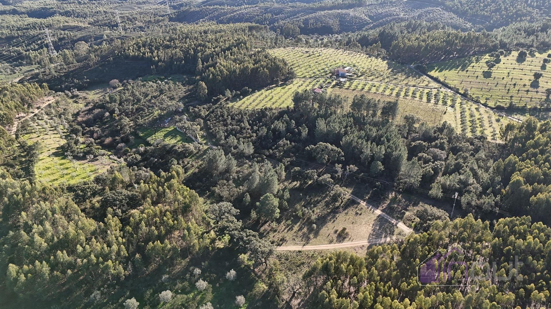 Terreno Rústico, com Sobreiros e Terra Arvense à Venda 25.000€