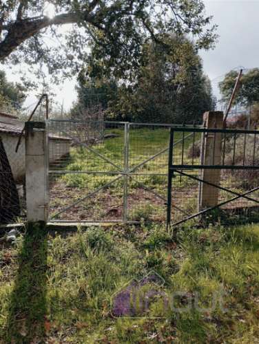 Excelente Propriedade Rural com 4.700m², Construção e Abundância de Água – Oportunidade Única para H