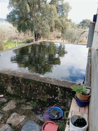 Excelente Propriedade Rural com 4.700m², Construção e Abundância de Água – Oportunidade Única para H