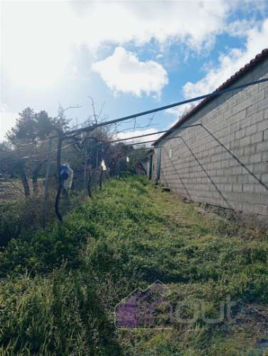 Excelente Propriedade Rural com 4.700m², Construção e Abundância de Água – Oportunidade Única para H