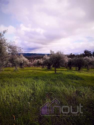 Excelente Propriedade Rural com 4.700m², Construção e Abundância de Água – Oportunidade Única para H