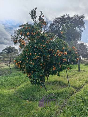 Excelente Propriedade Rural com 4.700m², Construção e Abundância de Água – Oportunidade Única para H