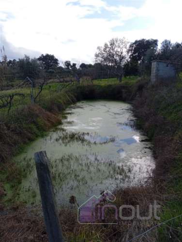 Excelente Propriedade Rural com 4.700m², Construção e Abundância de Água – Oportunidade Única para H