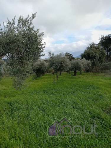 Excelente Propriedade Rural com 4.700m², Construção e Abundância de Água – Oportunidade Única para H