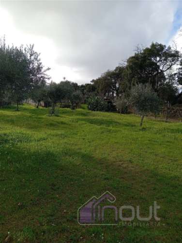 Excelente Propriedade Rural com 4.700m², Construção e Abundância de Água – Oportunidade Única para H