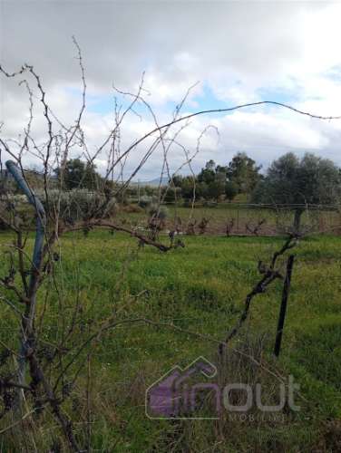 Excelente Propriedade Rural com 4.700m², Construção e Abundância de Água – Oportunidade Única para H