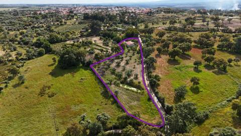 Excelente Propriedade Rural com 4.700m², Construção e Abundância de Água – Oportunidade Única para H