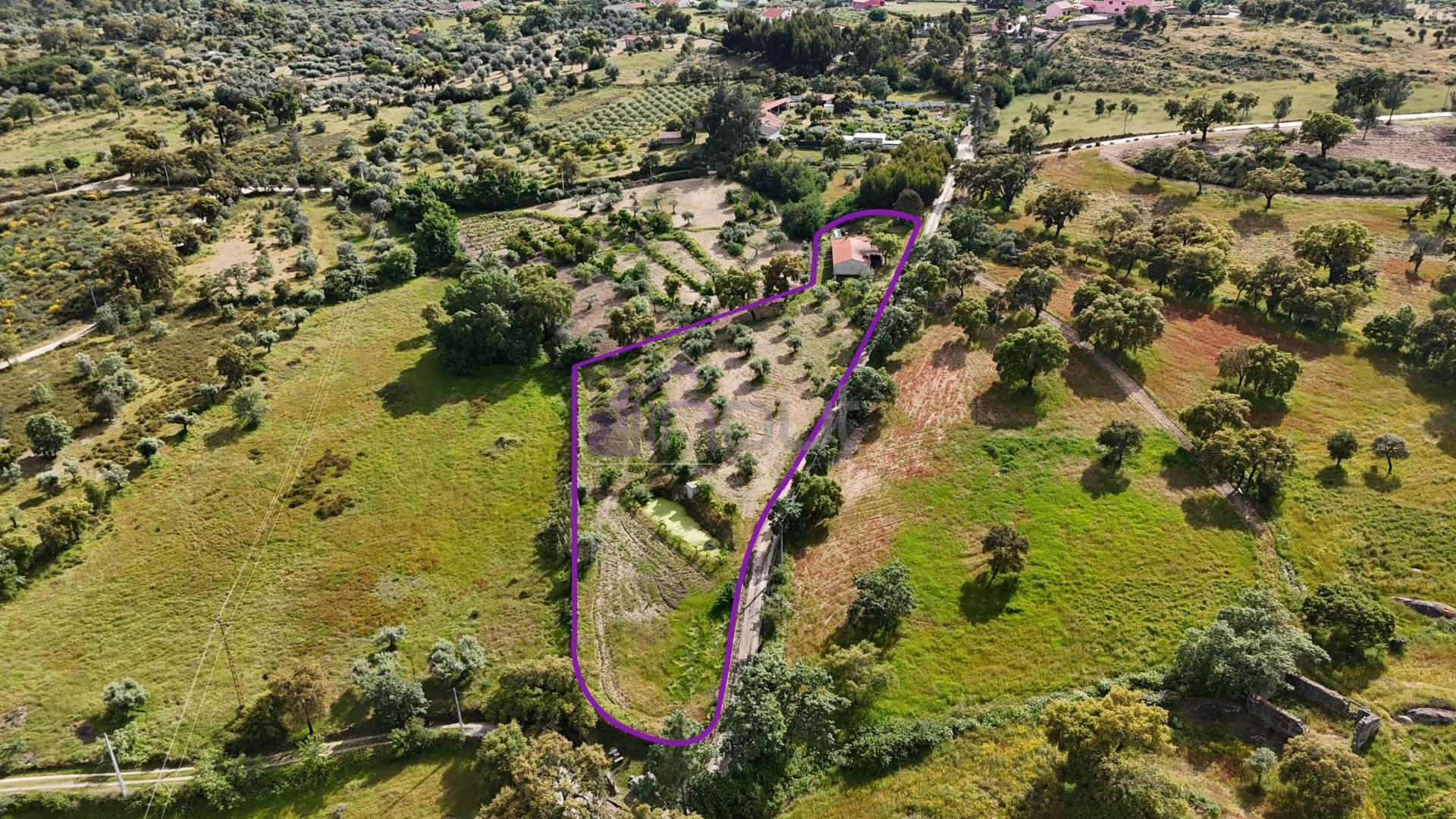 Excelente Propriedade Rural com 4.700m², Construção e Abundância de Água – Oportunidade Única para H