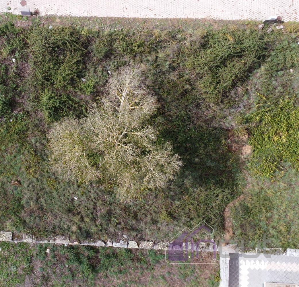 Lote de Terreno  Venda em Pinhel,Pinhel