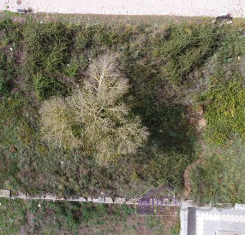 Lote de Terreno  Venda em Pinhel,Pinhel