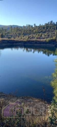 Propriedade Rural com 7 Hectares – Excelente para Agricultura, Criação e Lazer