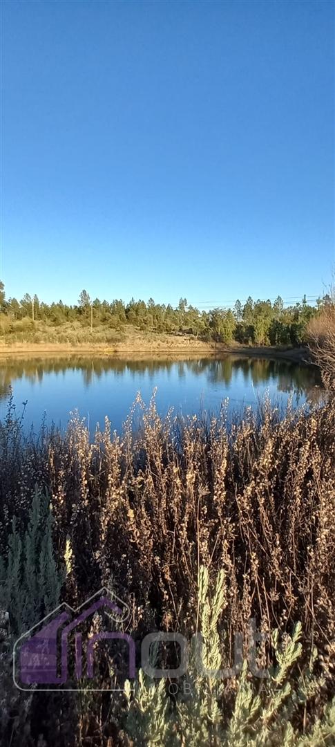 Propriedade Rural com 7 Hectares – Excelente para Agricultura, Criação e Lazer
