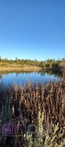 Propriedade Rural com 7 Hectares – Excelente para Agricultura, Criação e Lazer