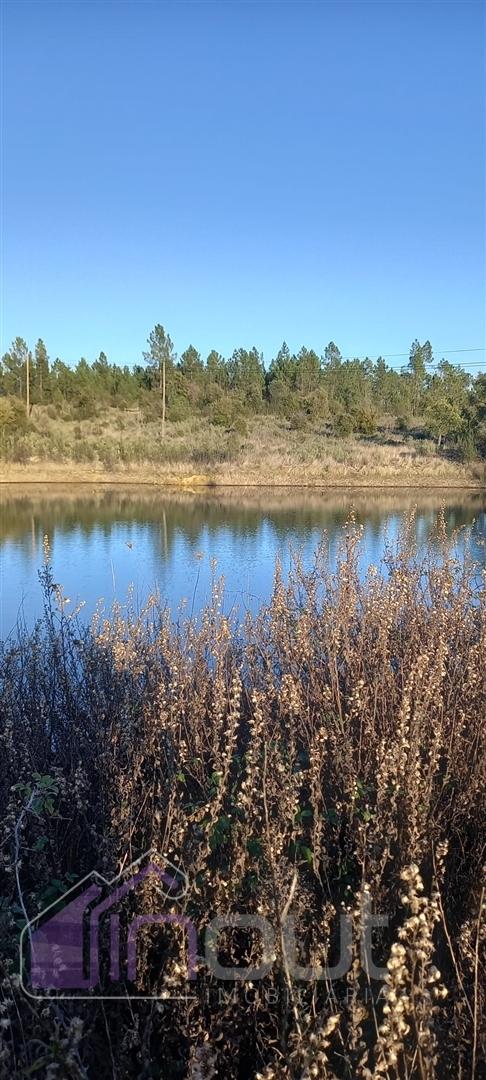 Propriedade Rural com 7 Hectares – Excelente para Agricultura, Criação e Lazer