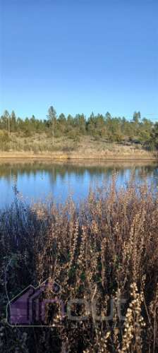 Propriedade Rural com 7 Hectares – Excelente para Agricultura, Criação e Lazer