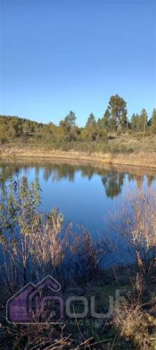 Propriedade Rural com 7 Hectares – Excelente para Agricultura, Criação e Lazer
