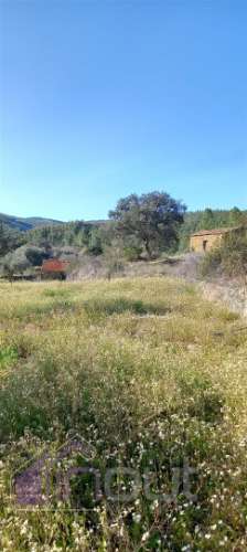 Propriedade Rural com 7 Hectares – Excelente para Agricultura, Criação e Lazer