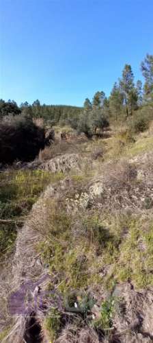 Propriedade Rural com 7 Hectares – Excelente para Agricultura, Criação e Lazer