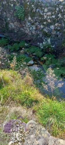 Propriedade Rural com 7 Hectares – Excelente para Agricultura, Criação e Lazer