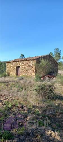 Propriedade Rural com 7 Hectares – Excelente para Agricultura, Criação e Lazer