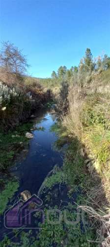 Propriedade Rural com 7 Hectares – Excelente para Agricultura, Criação e Lazer