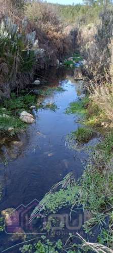 Propriedade Rural com 7 Hectares – Excelente para Agricultura, Criação e Lazer