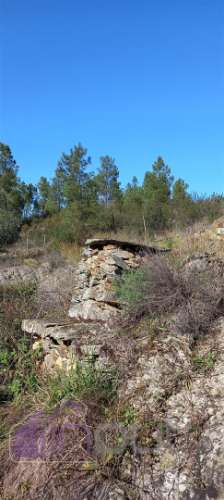 Propriedade Rural com 7 Hectares – Excelente para Agricultura, Criação e Lazer
