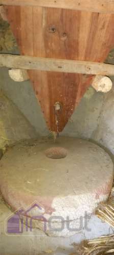 Propriedade Rural com 7 Hectares – Excelente para Agricultura, Criação e Lazer